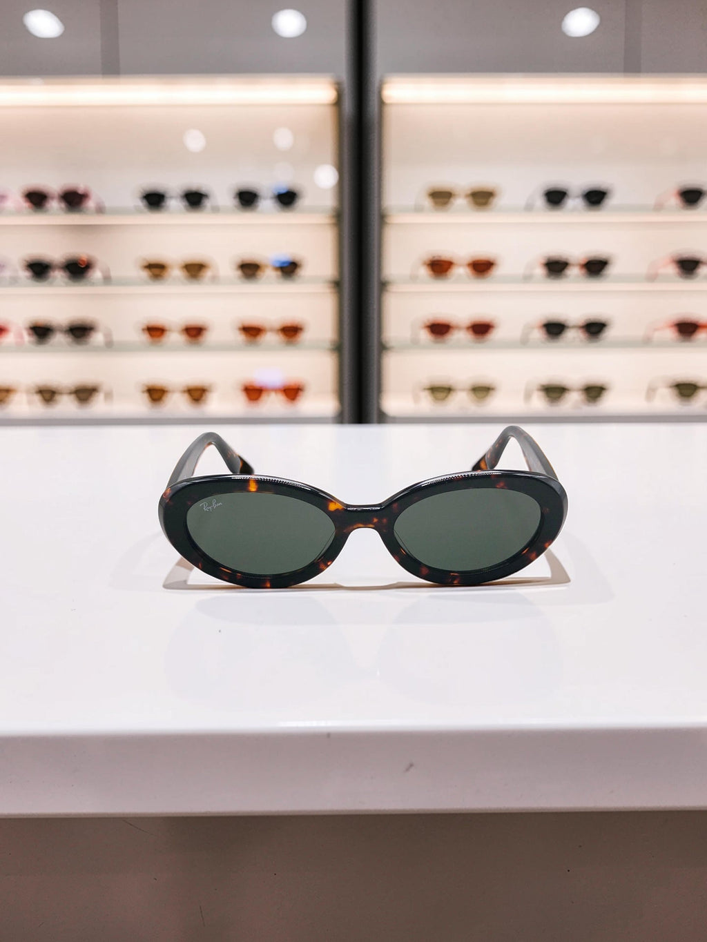 Occhiali da sole 2223 902/31 Tartaruga Havana - Lenti Verde G-15 Taglia 54