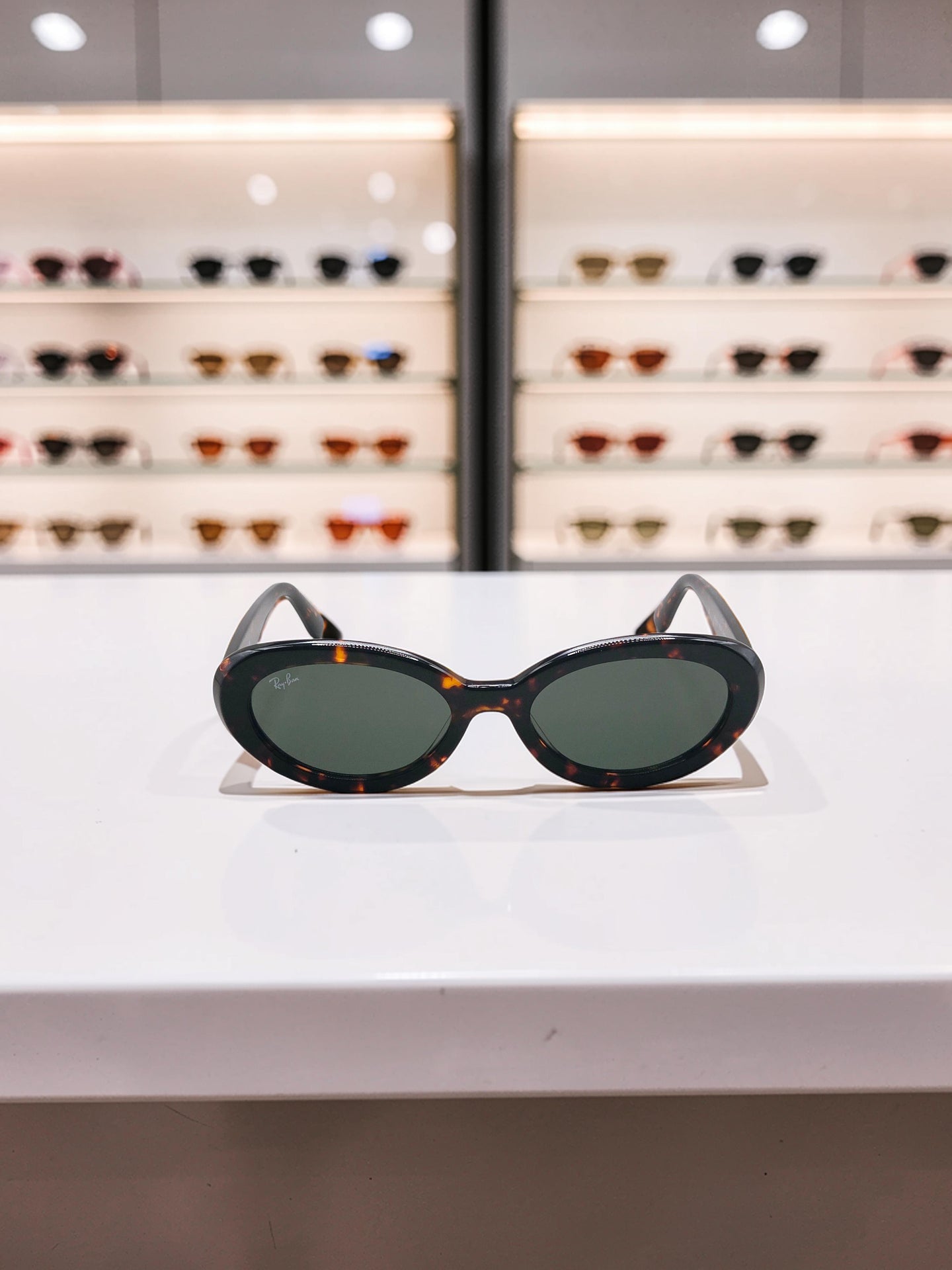 Occhiali da sole 2223 902/31 Tartaruga Havana - Lenti Verde G-15 Taglia 54