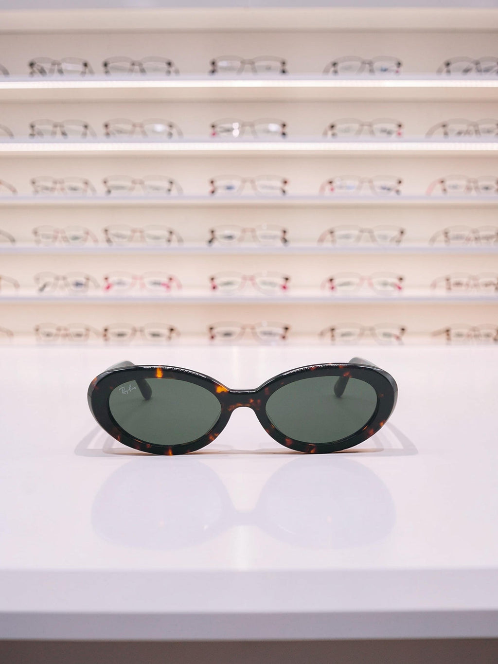 Occhiali da sole 2223 902/31 Tartaruga Havana - Lenti Verde G-15 Taglia 54