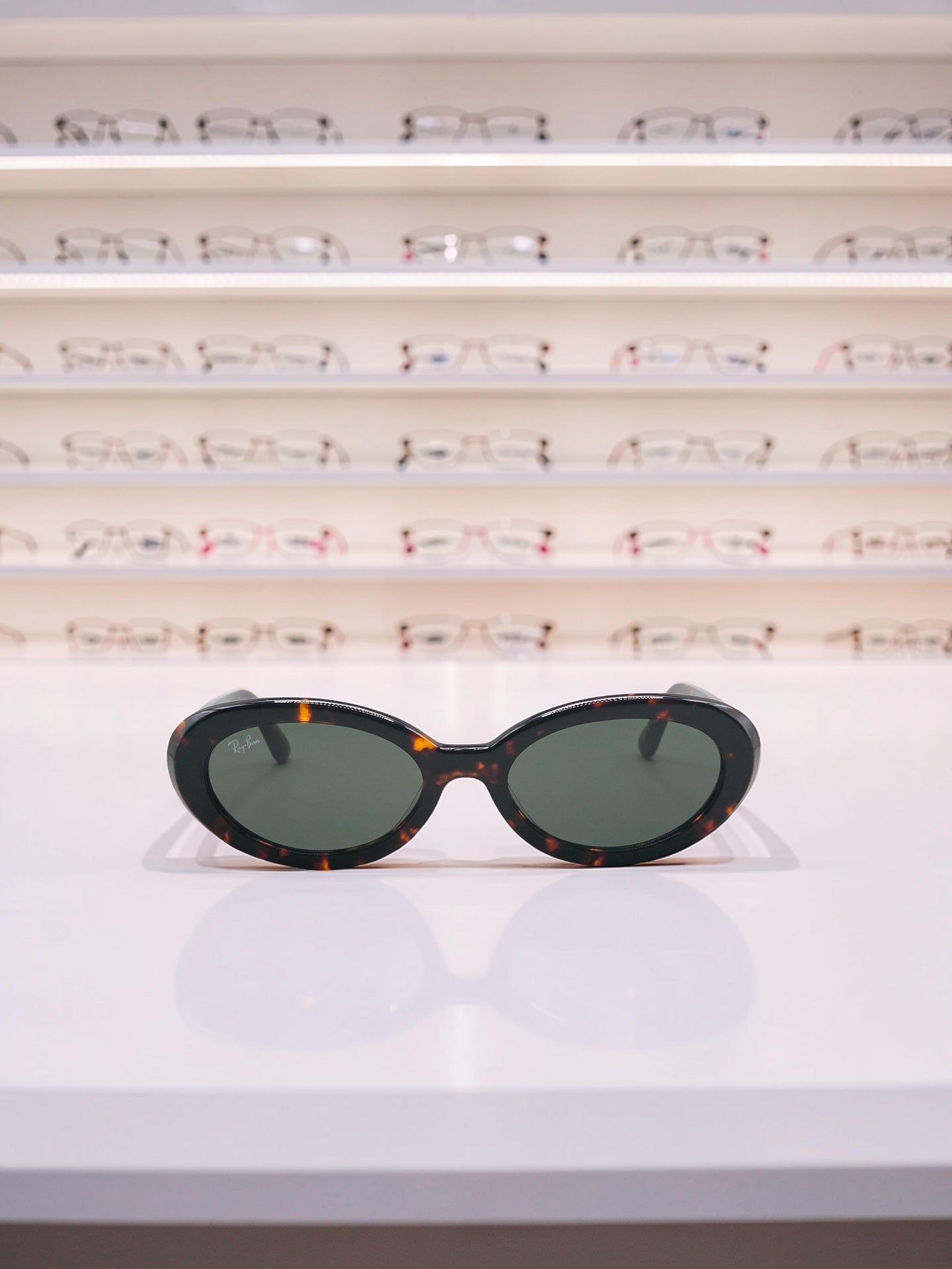 Occhiali da sole 2223 902/31 Tartaruga Havana - Lenti Verde G-15 Taglia 54