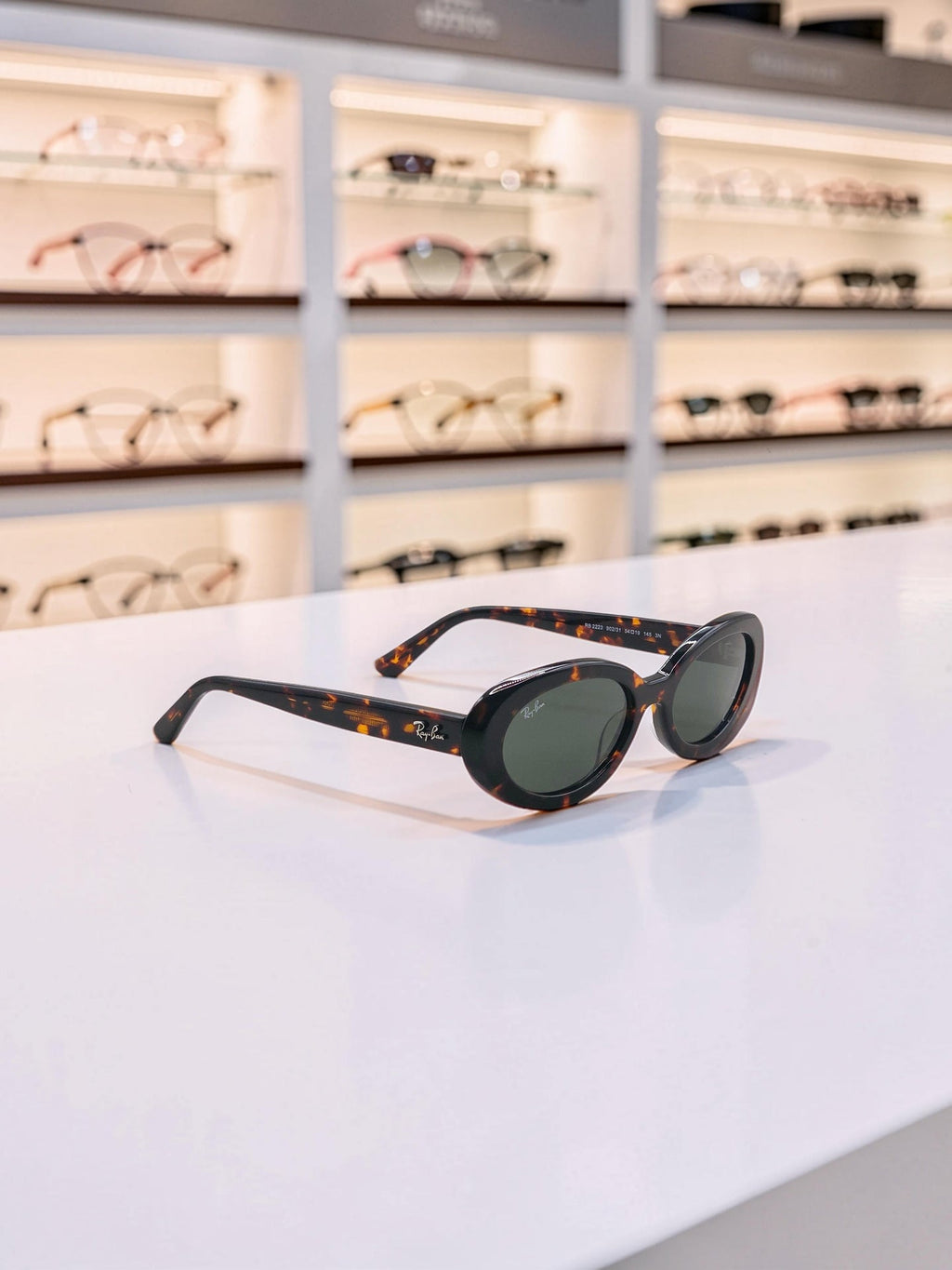 Occhiali da sole 2223 902/31 Tartaruga Havana - Lenti Verde G-15 Taglia 54
